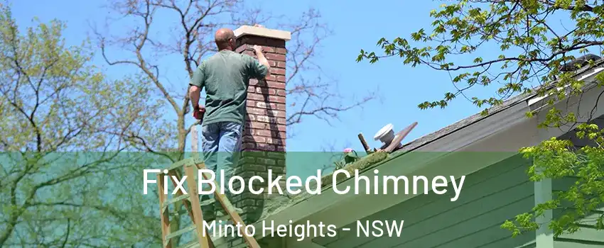 Fix Blocked Chimney Minto Heights - NSW