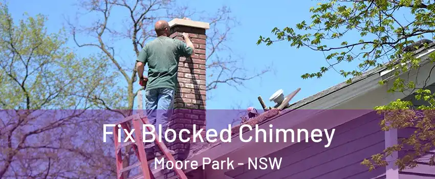 Fix Blocked Chimney Moore Park - NSW