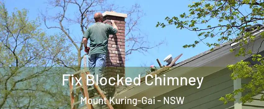 Fix Blocked Chimney Mount Kuring-Gai - NSW