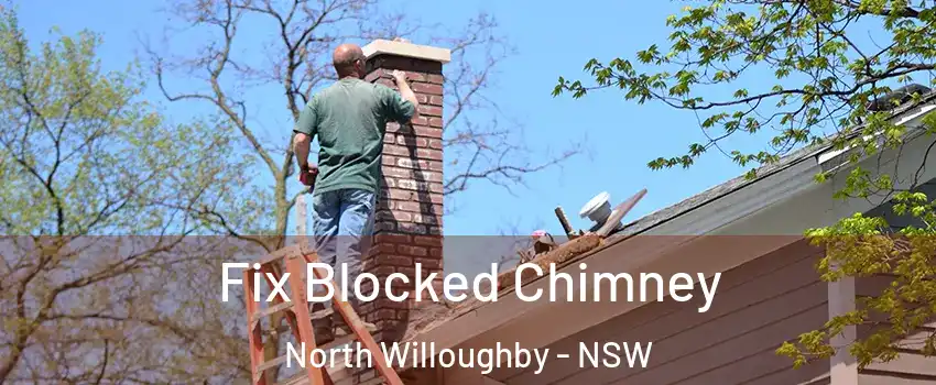 Fix Blocked Chimney North Willoughby - NSW