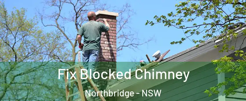 Fix Blocked Chimney Northbridge - NSW