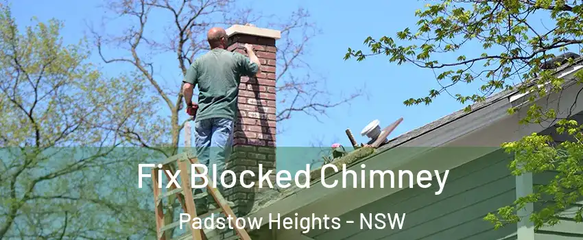 Fix Blocked Chimney Padstow Heights - NSW