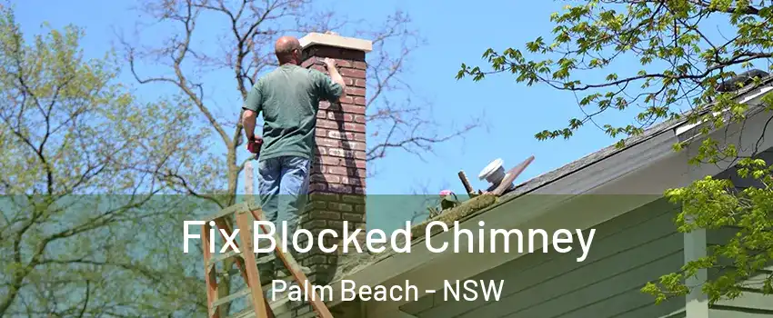 Fix Blocked Chimney Palm Beach - NSW