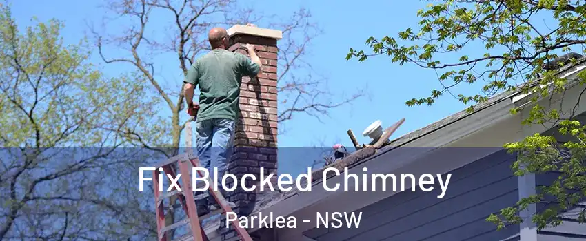 Fix Blocked Chimney Parklea - NSW