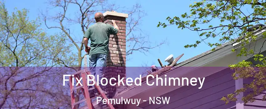 Fix Blocked Chimney Pemulwuy - NSW