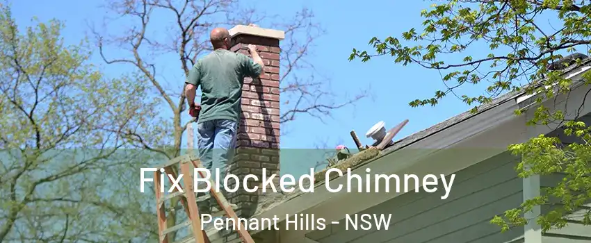 Fix Blocked Chimney Pennant Hills - NSW