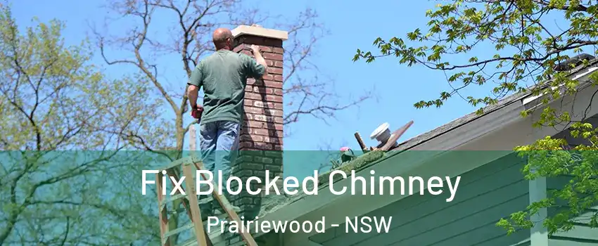 Fix Blocked Chimney Prairiewood - NSW