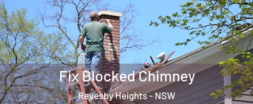 Fix Blocked Chimney Revesby Heights - NSW