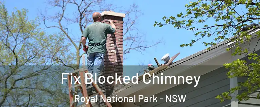 Fix Blocked Chimney Royal National Park - NSW