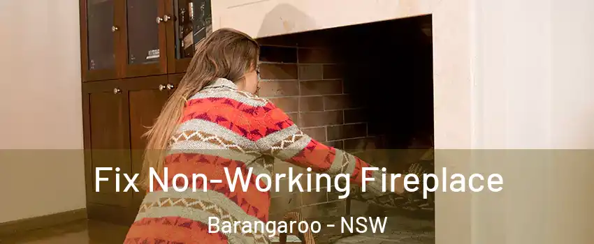  Fix Non-Working Fireplace Barangaroo - NSW