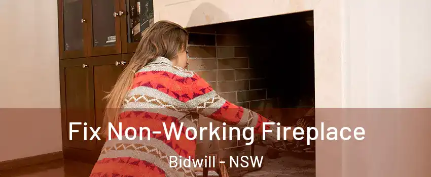 Fix Non-Working Fireplace Bidwill - NSW