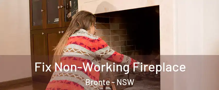 Fix Non-Working Fireplace Bronte - NSW