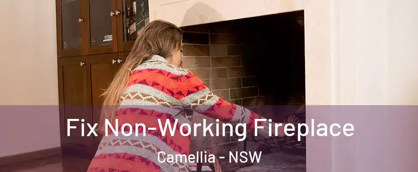  Fix Non-Working Fireplace Camellia - NSW
