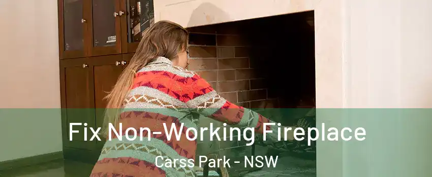 Fix Non-Working Fireplace Carss Park - NSW