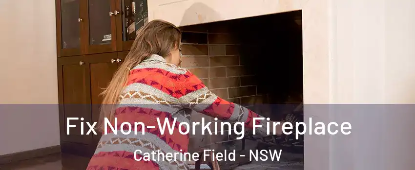 Fix Non-Working Fireplace Catherine Field - NSW