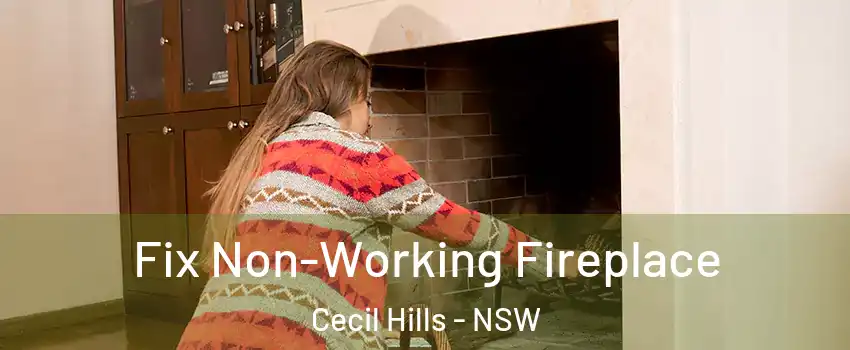 Fix Non-Working Fireplace Cecil Hills - NSW