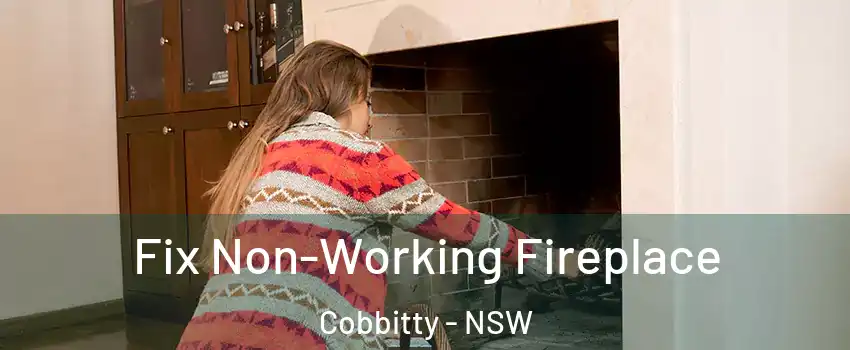  Fix Non-Working Fireplace Cobbitty - NSW