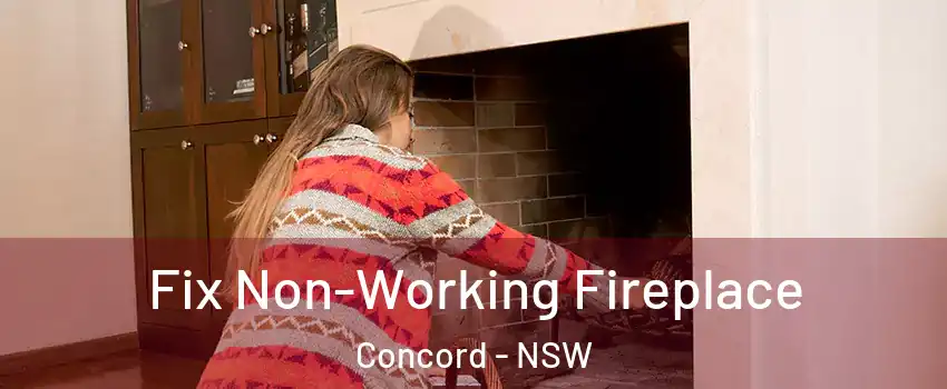  Fix Non-Working Fireplace Concord - NSW