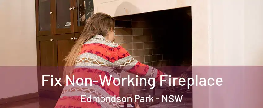 Fix Non-Working Fireplace Edmondson Park - NSW