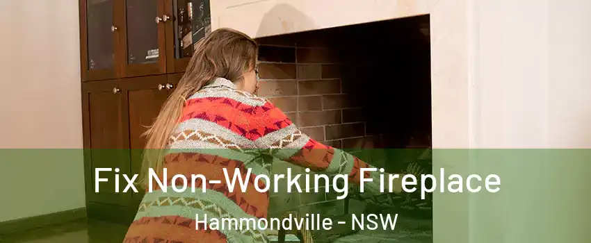 Fix Non-Working Fireplace Hammondville - NSW