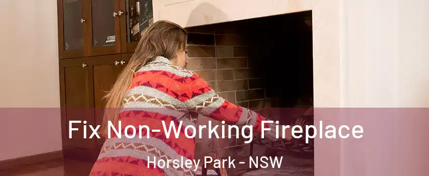 Fix Non-Working Fireplace Horsley Park - NSW