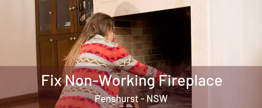 Fix Non-Working Fireplace Penshurst - NSW