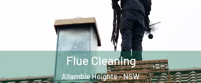 Flue Cleaning Allambie Heights - NSW