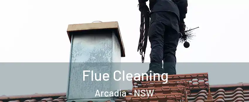 Flue Cleaning Arcadia - NSW