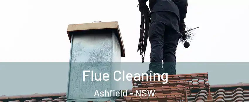 Flue Cleaning Ashfield - NSW