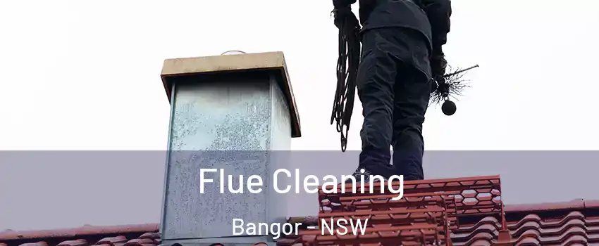 Flue Cleaning Bangor - NSW