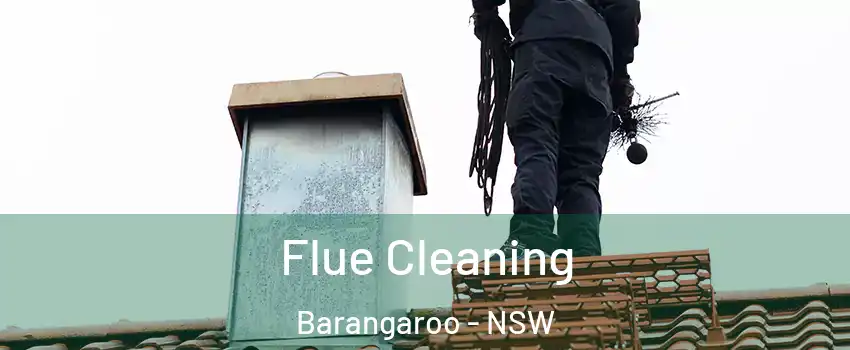 Flue Cleaning Barangaroo - NSW