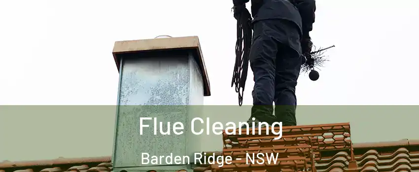 Flue Cleaning Barden Ridge - NSW