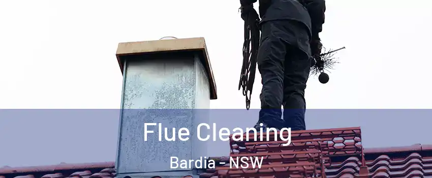 Flue Cleaning Bardia - NSW