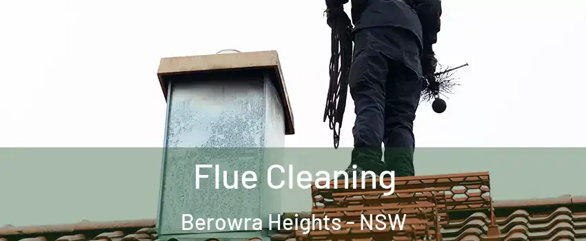 Flue Cleaning Berowra Heights - NSW
