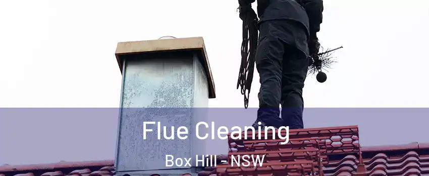 Flue Cleaning Box Hill - NSW