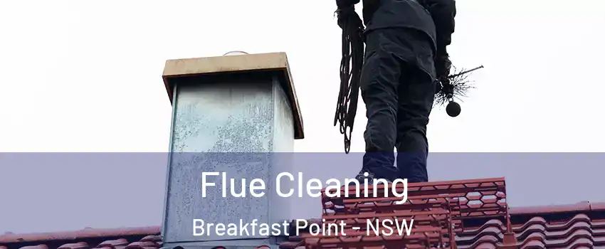 Flue Cleaning Breakfast Point - NSW