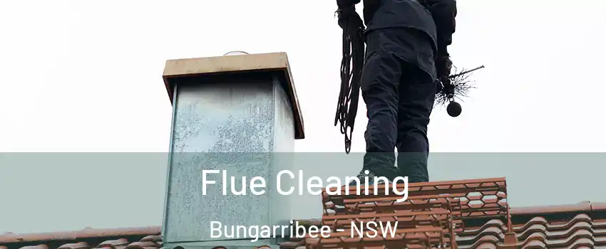 Flue Cleaning Bungarribee - NSW
