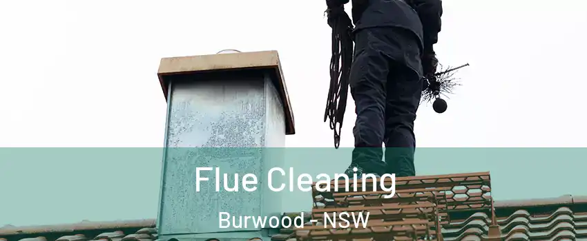 Flue Cleaning Burwood - NSW