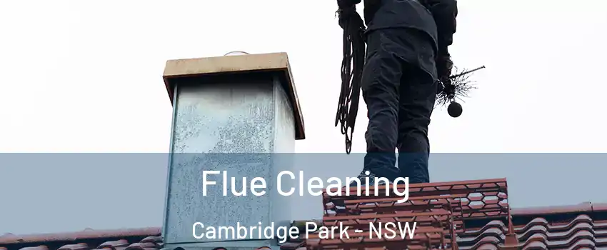 Flue Cleaning Cambridge Park - NSW