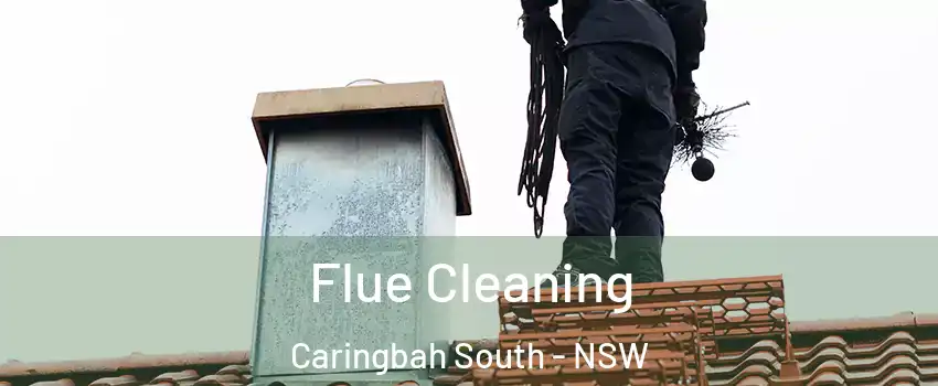 Flue Cleaning Caringbah South - NSW