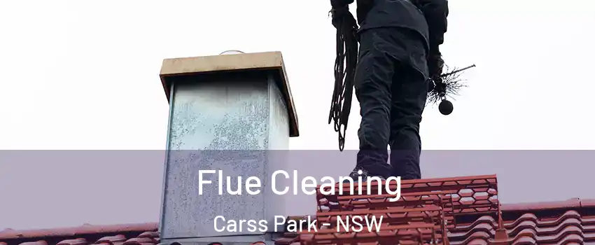 Flue Cleaning Carss Park - NSW
