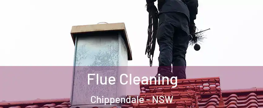 Flue Cleaning Chippendale - NSW