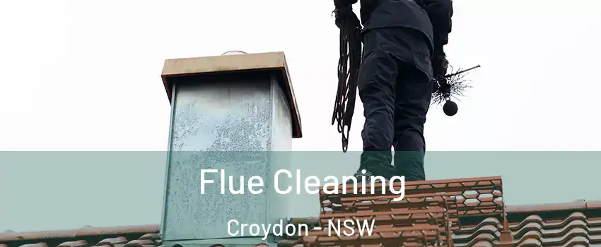 Flue Cleaning Croydon - NSW
