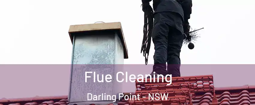Flue Cleaning Darling Point - NSW