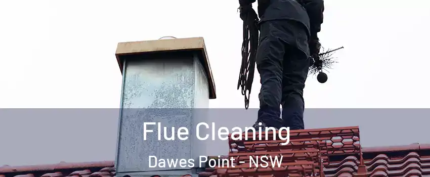 Flue Cleaning Dawes Point - NSW