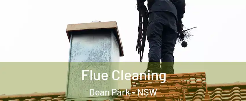 Flue Cleaning Dean Park - NSW