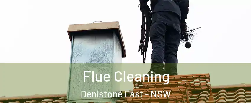 Flue Cleaning Denistone East - NSW