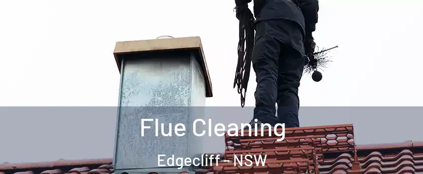 Flue Cleaning Edgecliff - NSW