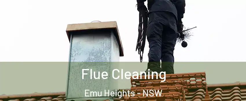 Flue Cleaning Emu Heights - NSW