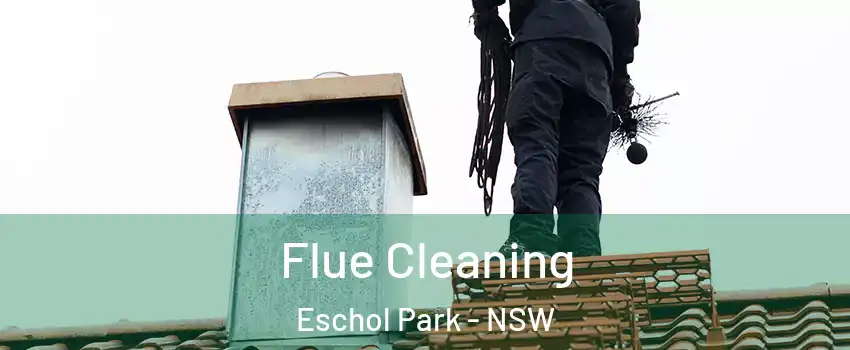 Flue Cleaning Eschol Park - NSW